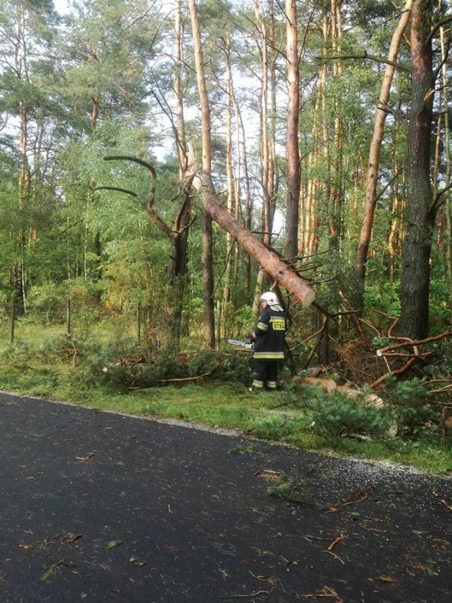 Zerwane dachy, powalone drzewa, kobieta uwięziona w aucie - strażacy usuwali skutki nawałnic - Zdjęcie główne