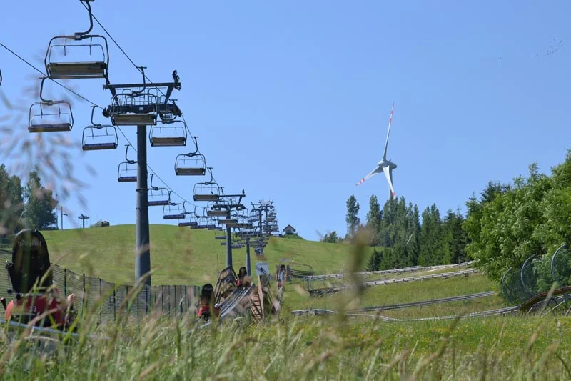 PGE tworzy sztuczne jeziora. Po kopalni pozostaną też lasy, pola golfowe i… tor wyścigowy - Zdjęcie główne