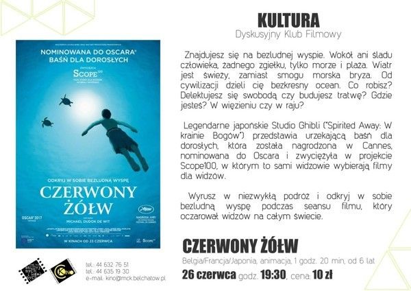 Dyskusyjny Klub Filmowy - "Czerwony żółw" - Zdjęcie główne