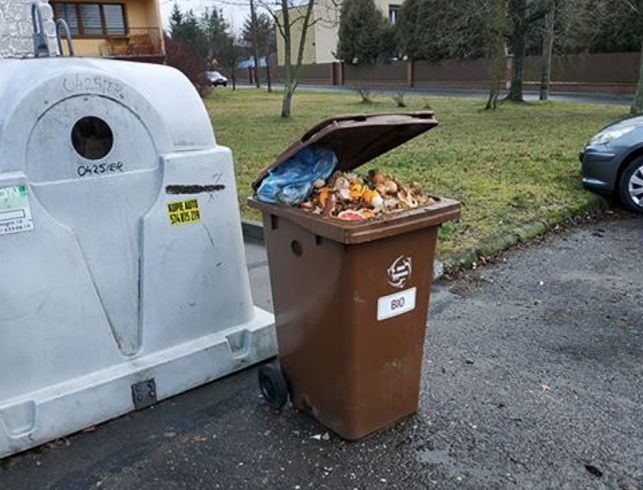 Śmierdzące bioodpady wysypują się z pojemników. Urzędnicy mówią, jak sobie z tym poradzić  - Zdjęcie główne