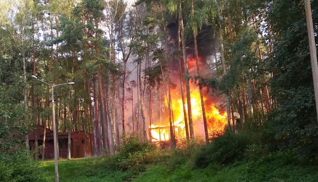 To było podpalenie!? Mógł spłonąć ośrodek i las pod Bełchatowem [FOTO] [WIDEO] - Zdjęcie główne