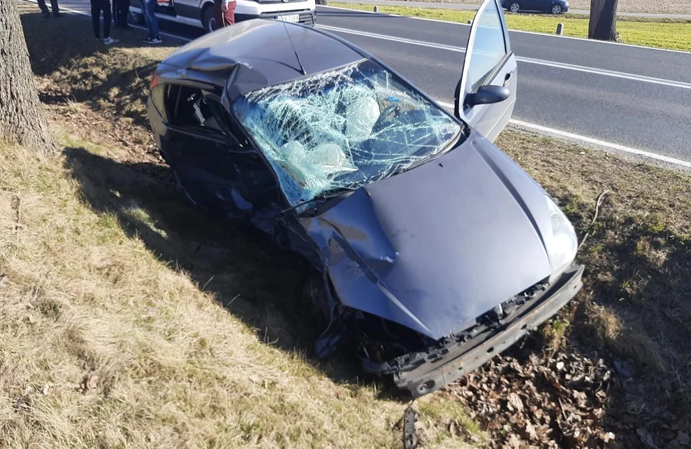 Do szpitala w Bełchatowie trafiło 8-miesięczne dziecko. Nieprzytomną matkę z wypadku zabrała karetka  - Zdjęcie główne