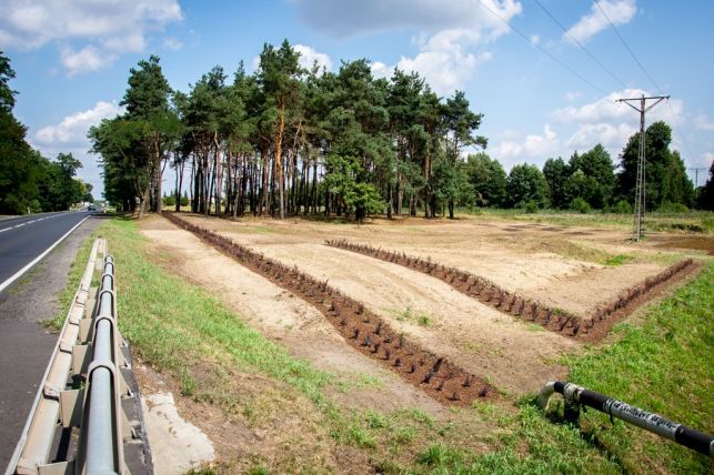 Miliony na zieleń. W Bełchatowie powstają nowe parki, bulwary oraz miejska plaża - Zdjęcie główne