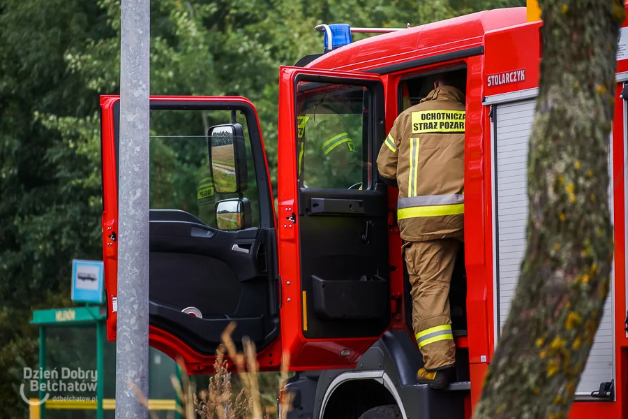 Zwierzak wpadł w tarapaty na bagnach. Strażacy ruszyli z akcją ratunkową - Zdjęcie główne