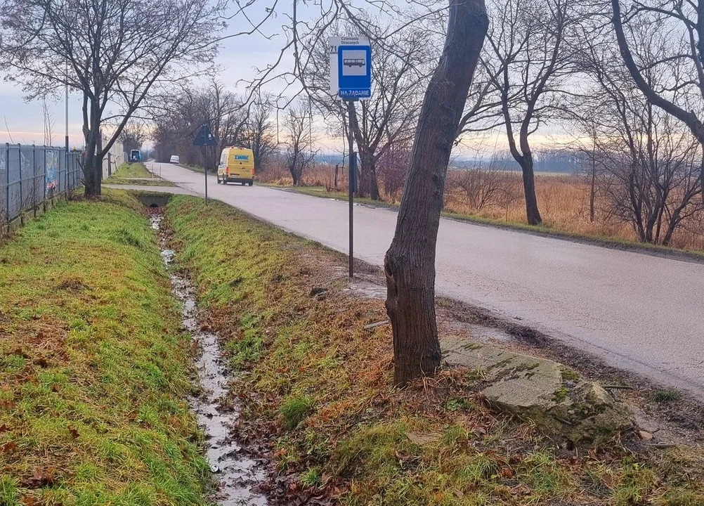 Wysiadając z autobusu, można... wpaść do rowu. Tak wygląda przystanek MPK przy Brójeckiej na Wiskitnie [ZDJĘCIA] - Zdjęcie główne