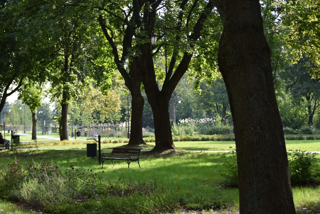 Jak wyglądał park miejski w Zgierzu?