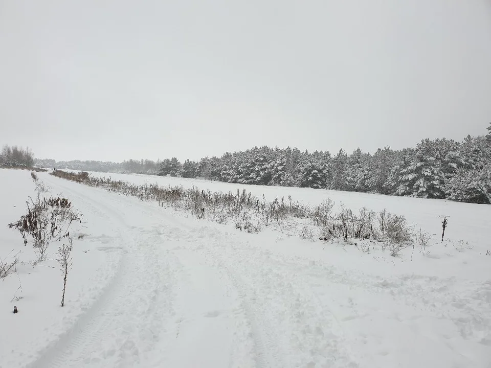 Śnieżna galeria ze Zgierza i Sokolnik-Lasu