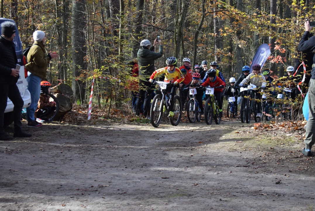 Halloween XC w Lesie Łagiewnickim