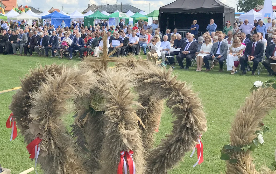 Wieńce, sztandary, przemowy i pieczony prosiak. Dożynki powiatu płockiego [ZDJĘCIA] - Zdjęcie główne