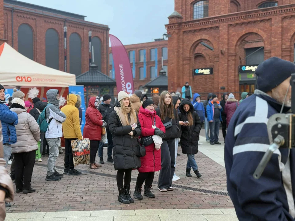 Choinka pod choinkę. Małopolska akcja w Manufakturze, 11.12.2024 r.