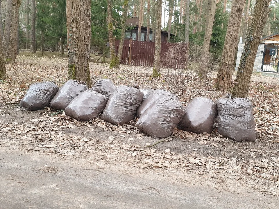 Mieszkańcy Sokolnik-Lasu są zbulwersowani. "Wójt łamie prawo" - grzmi społecznik - Zdjęcie główne