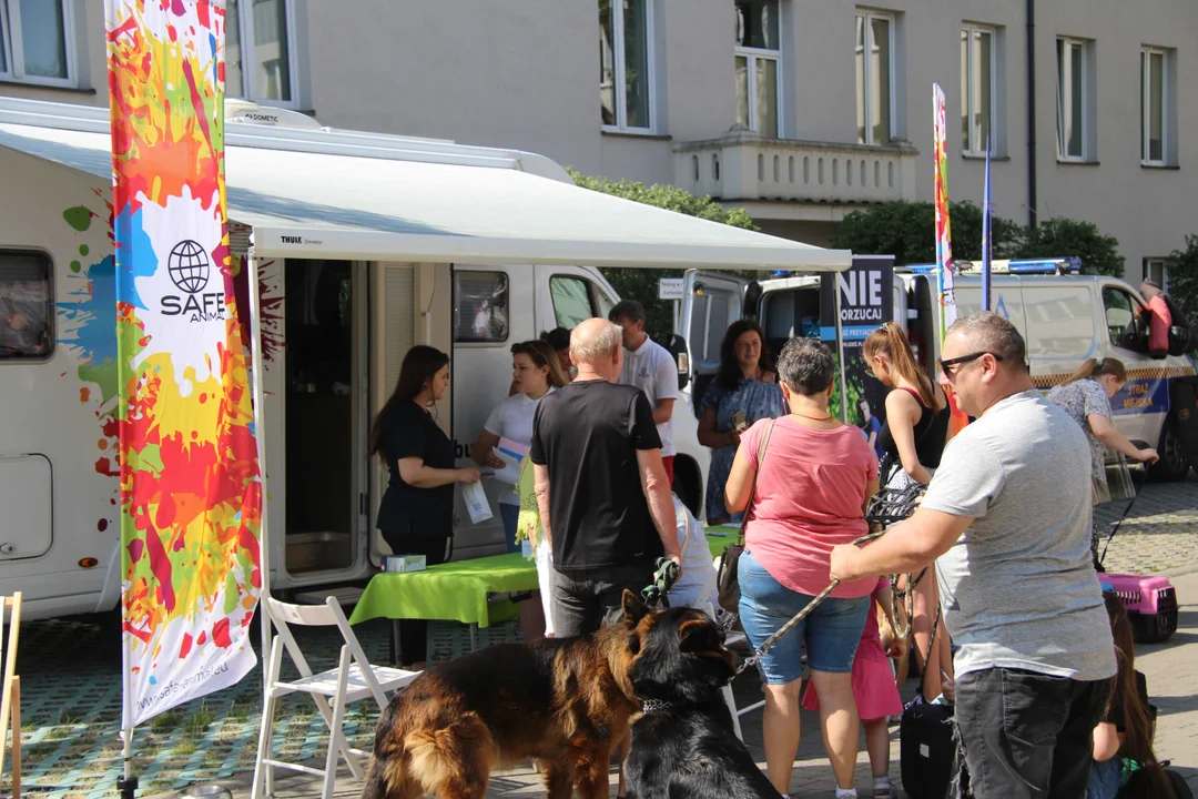 Animal Patrol świętuje swoje 8. urodziny