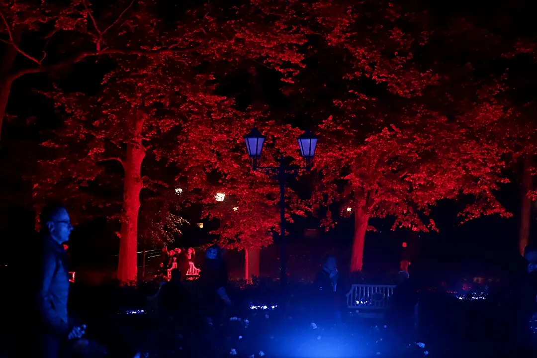 Light Move Festival 2025 – muzyczny drugi dzień