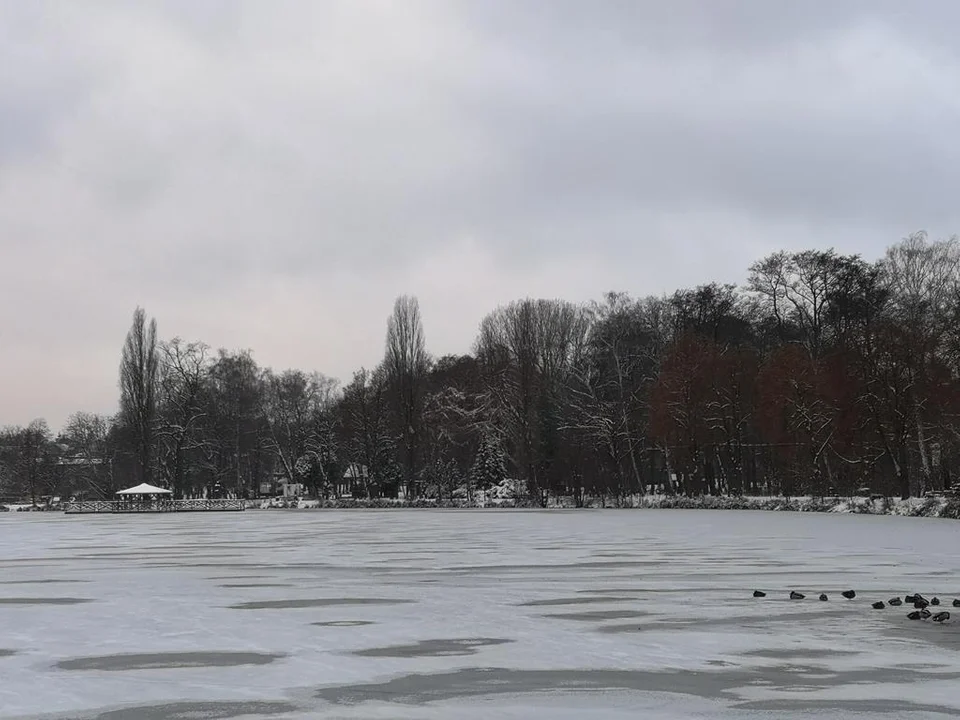 Zima zagościła w Parku Miejskim