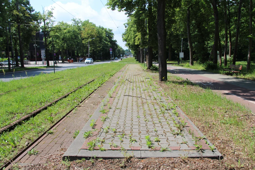 Nieczynne przystanki tramwajowe przy Konstantynowskiej