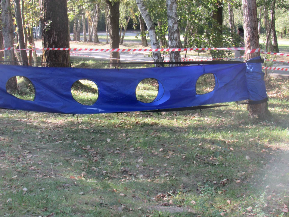 Bieg z przeszkodami na Malince