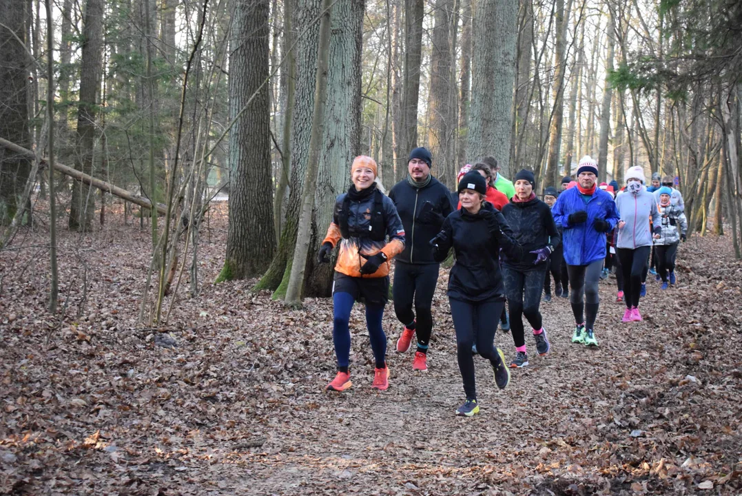 Parkrun w Lesie Łagiewnickim