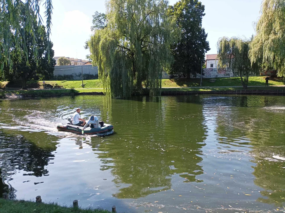 "Porządki" w stawie w Parku Traugutta. Woda ma być dużo czystsza [FOTO] - Zdjęcie główne