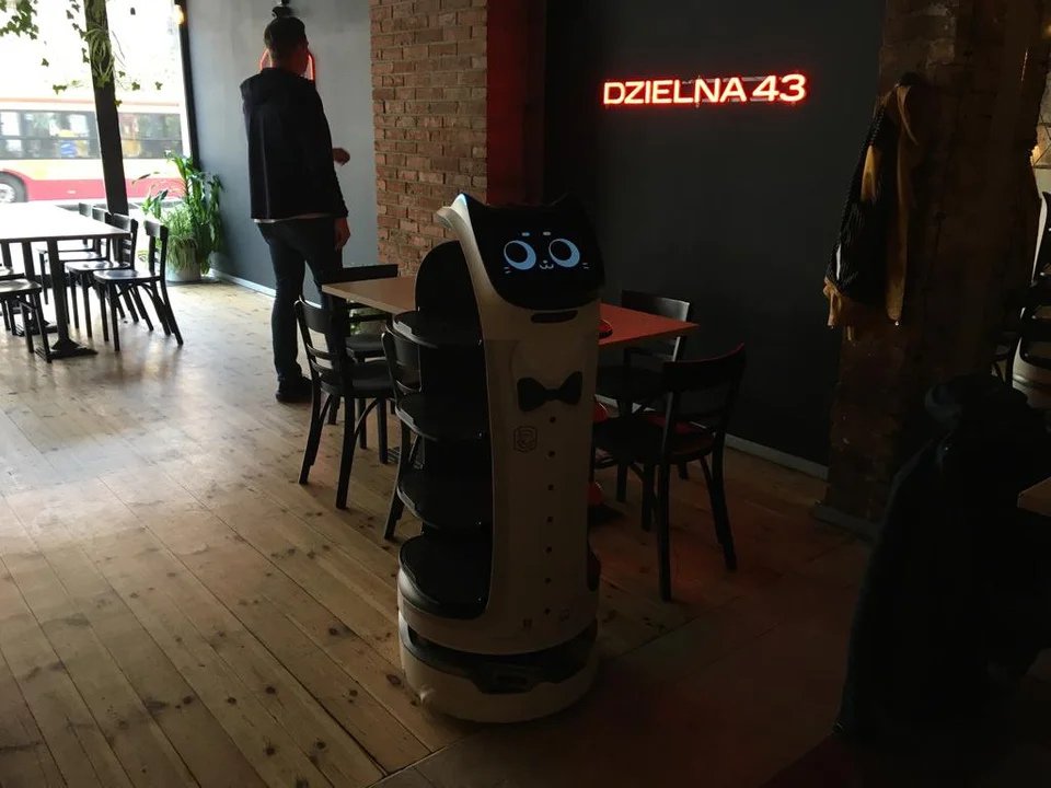 Dzielny robot na Dzielnej 43