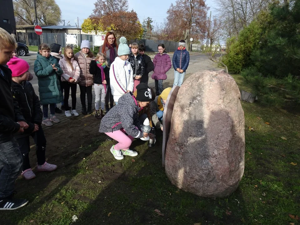 100 cebulek żółtych krokusów posadziły żychlińskie dzieci przy kamieniu upamiętniającym społeczność żydowską tego miasta.