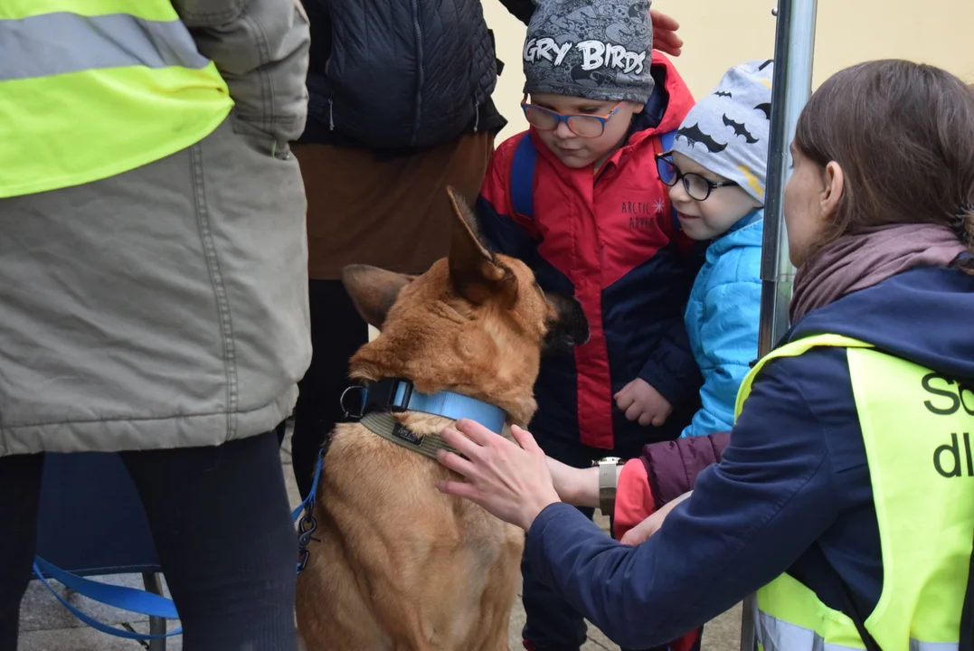 Światowy Dzień Zwierząt w Łodzi