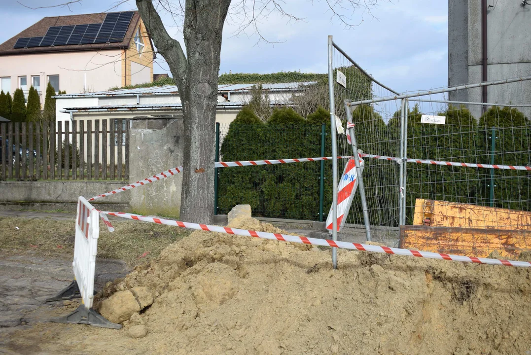 Z ulicy Fijałkowskiego w Zgierzu  znikną drzewa