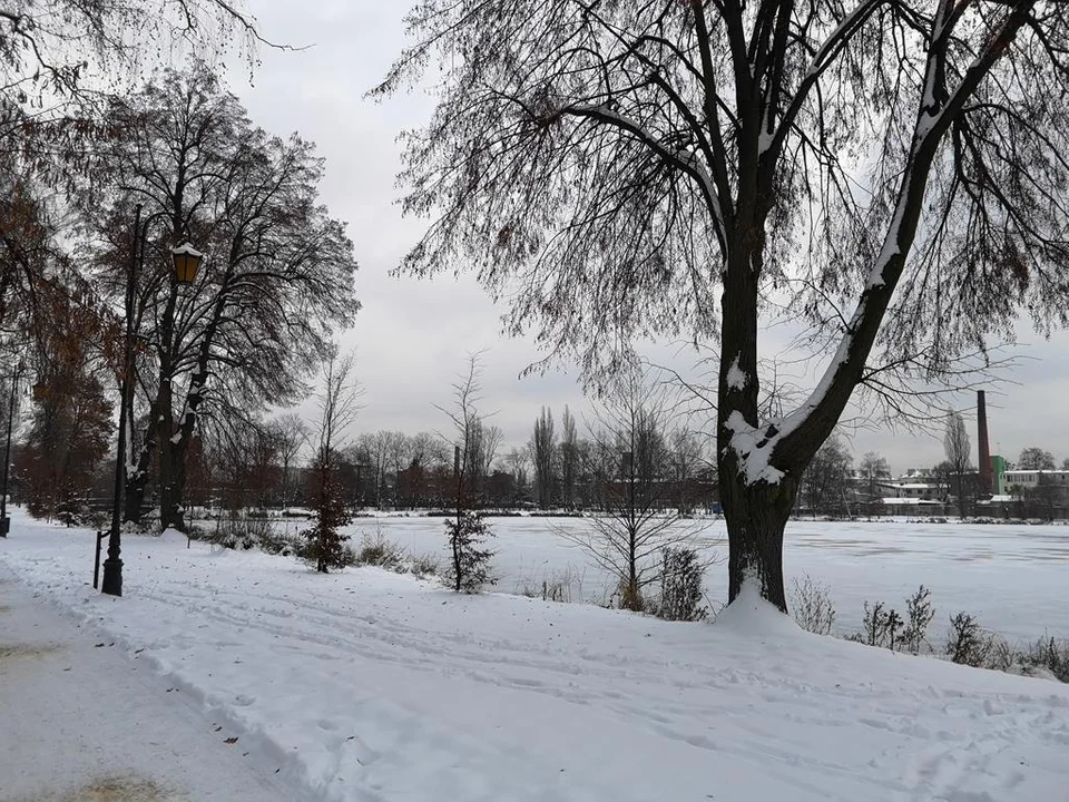 Zima zagościła w Parku Miejskim