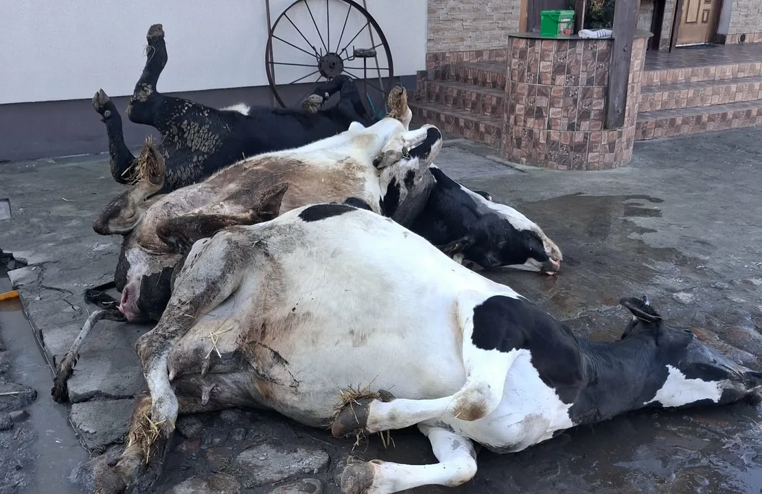 Nieszczęśliwy wypadek i ogromne straty finansowe. Wójt prosi o pomoc dla mieszkańców