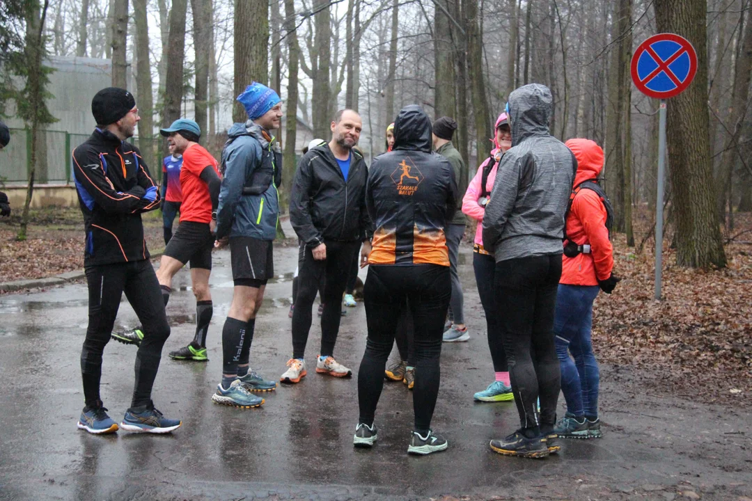 Walentynkowy parkrun w Lesie Łagiewnickim