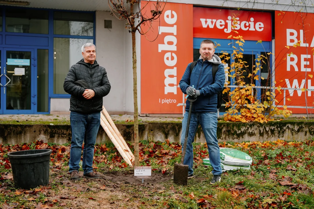 Drzewa Młodych Płocczan 2025