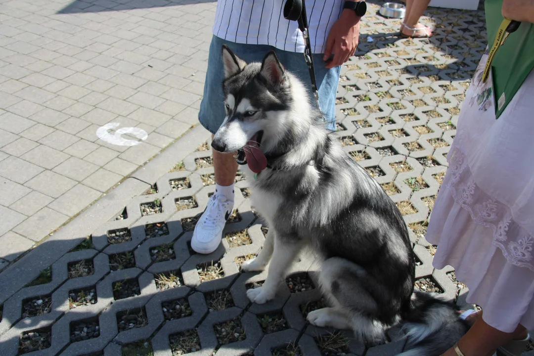 Animal Patrol świętuje swoje 8. urodziny