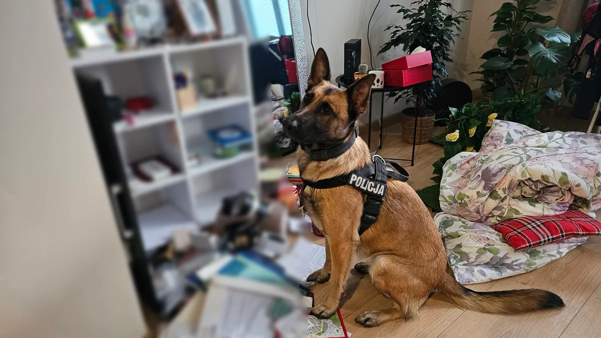 Potężna akcja policji w Łódzkiem