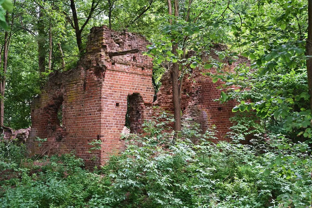 Wykopaliska w ruinach dworu w Mikorzycach