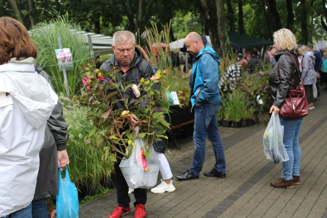 Trwa Święto Róży. Sporo osób odwiedza park Traugutta