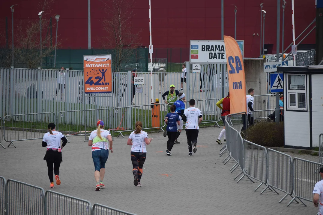 DOZ Maraton ulicami miasta. Zobacz zdjęcia z biegu głównego