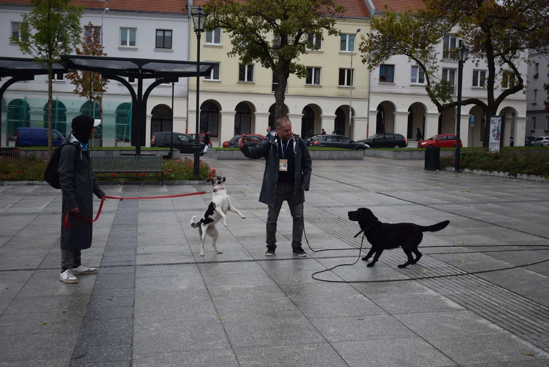 Światowy Dzień Zwierząt w Łodzi