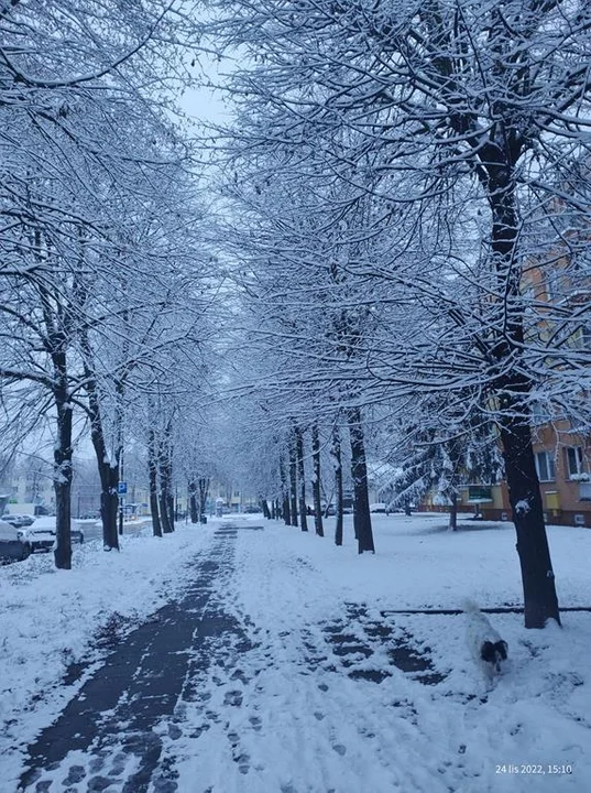 Zgierz oczami mieszkańców