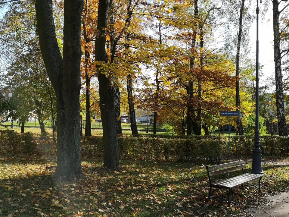 Zgierzanie korzystają z pięknej jesiennej pogody