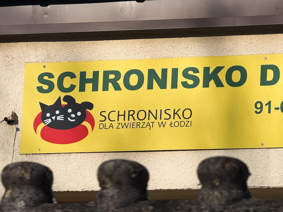 Schronisko dla zwierząt w Łodzi