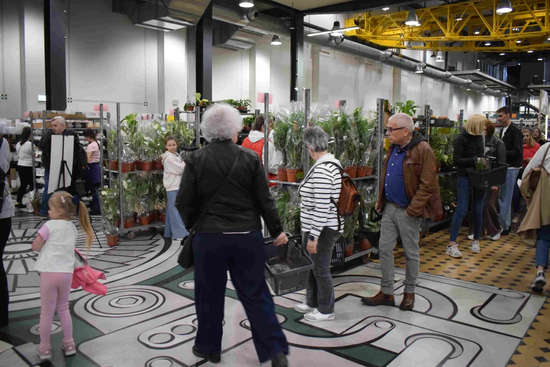 Festiwal Roślin w EC1 w Łodzi, wiosna 2026