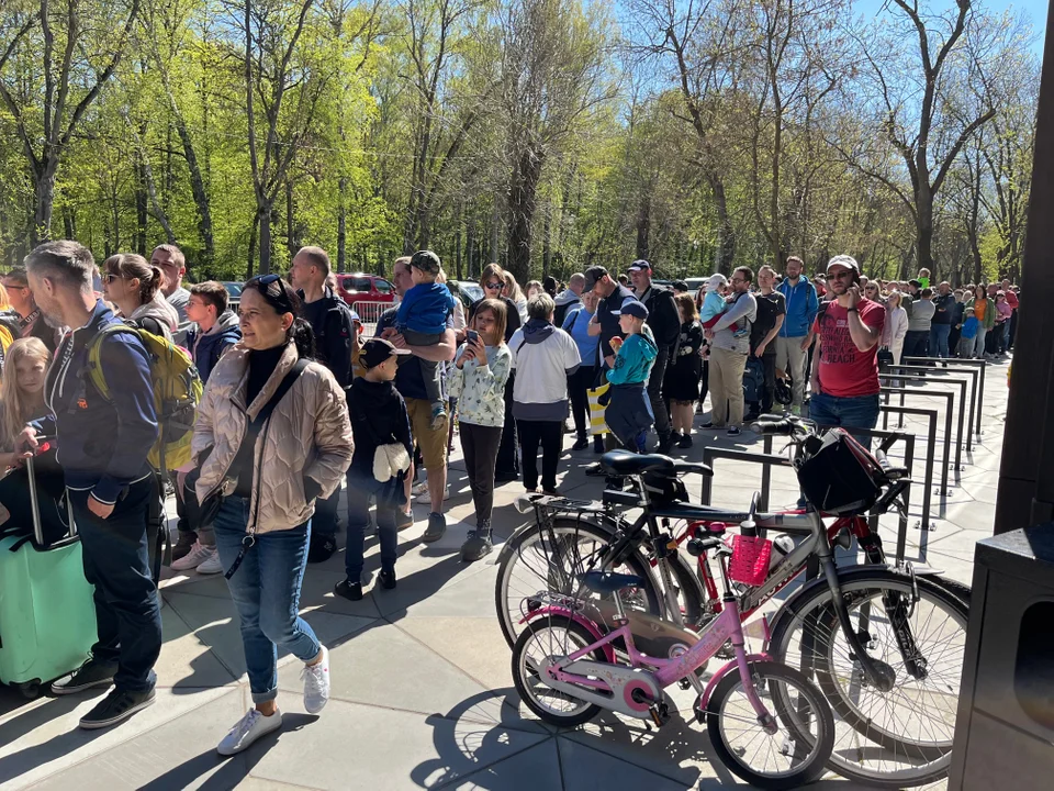 Kolejka w majówkę do Orientarium ZOO Łódź