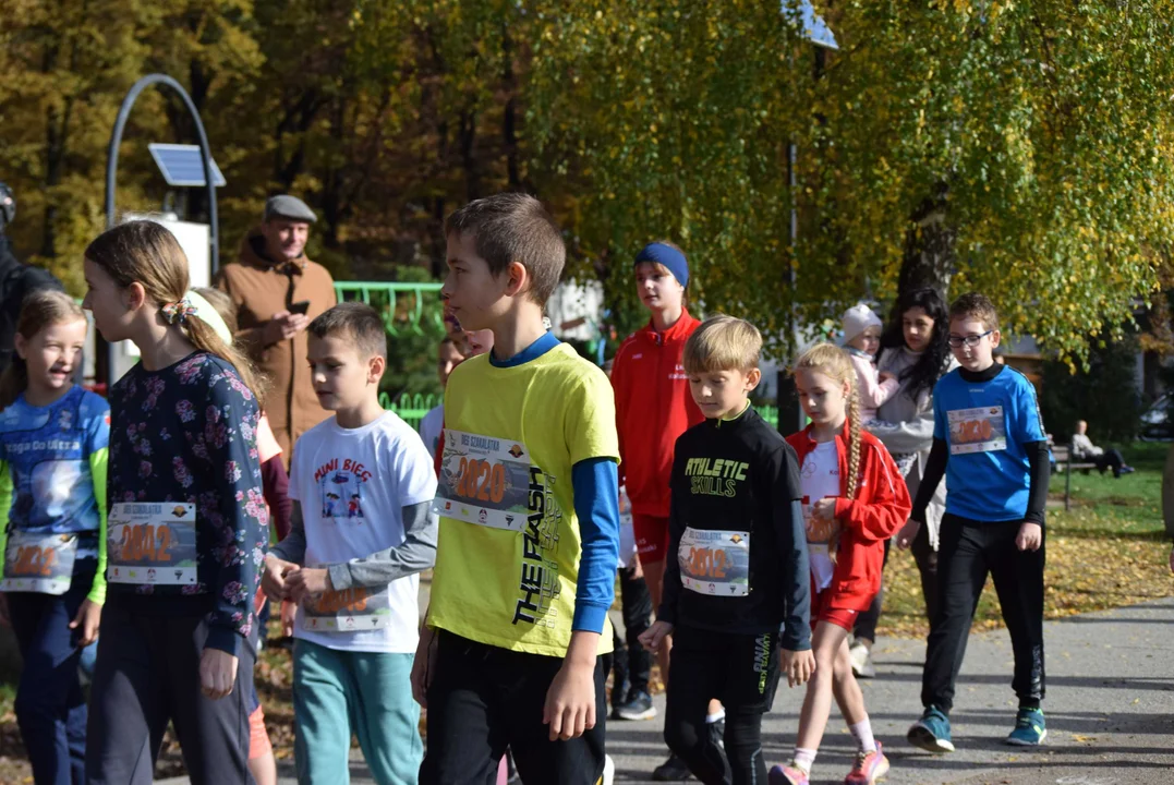 Jesienny Festiwal Szakala