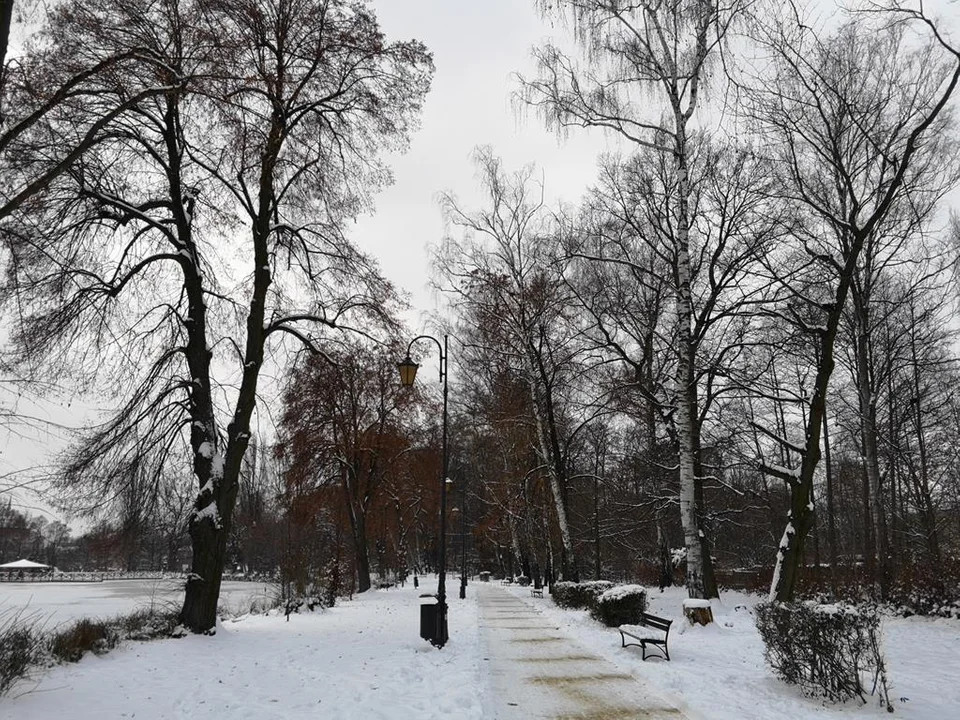 Zima zagościła w Parku Miejskim