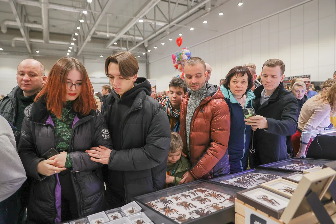 Targi zwierząt egzotycznych w Łodzi