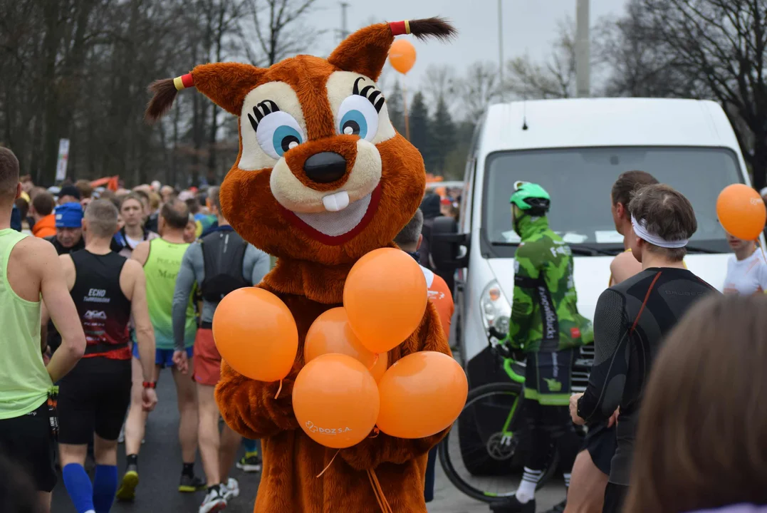 Wystartowała 11. edycja DOZ Maratonu Łódź.