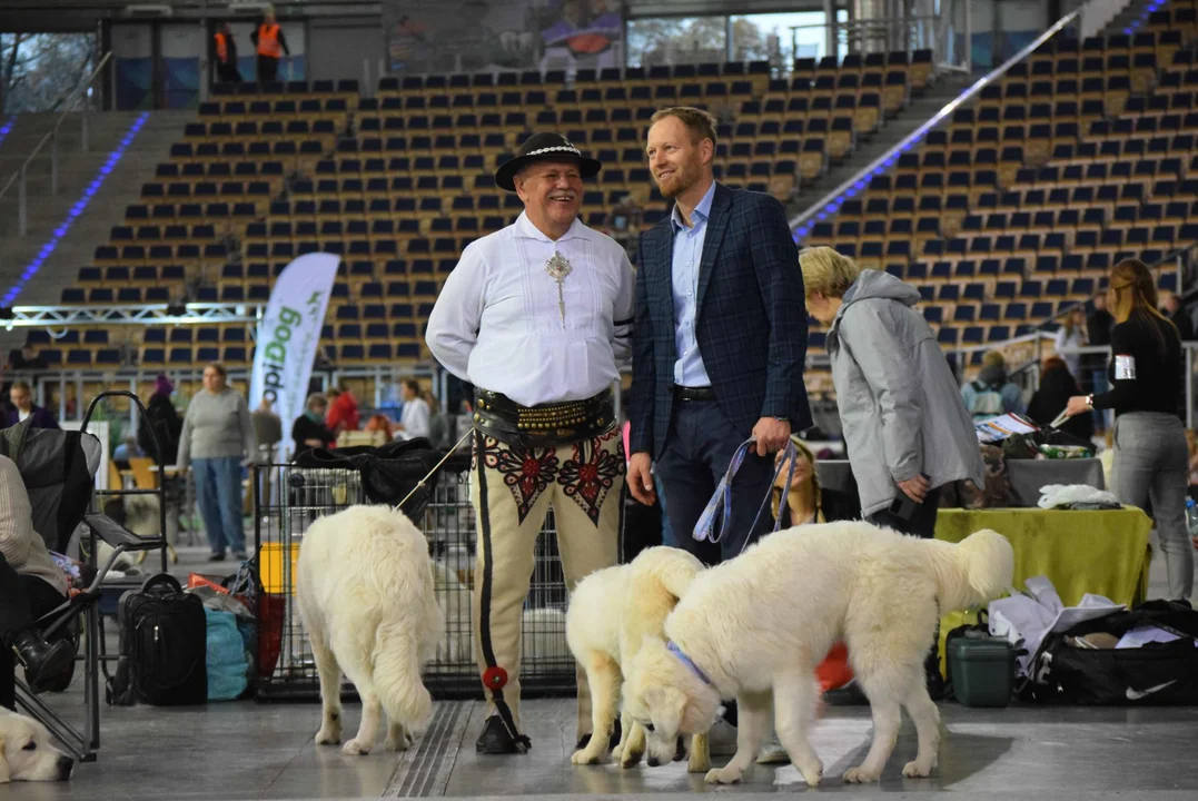 Wystawa psów w Atlas Arenie