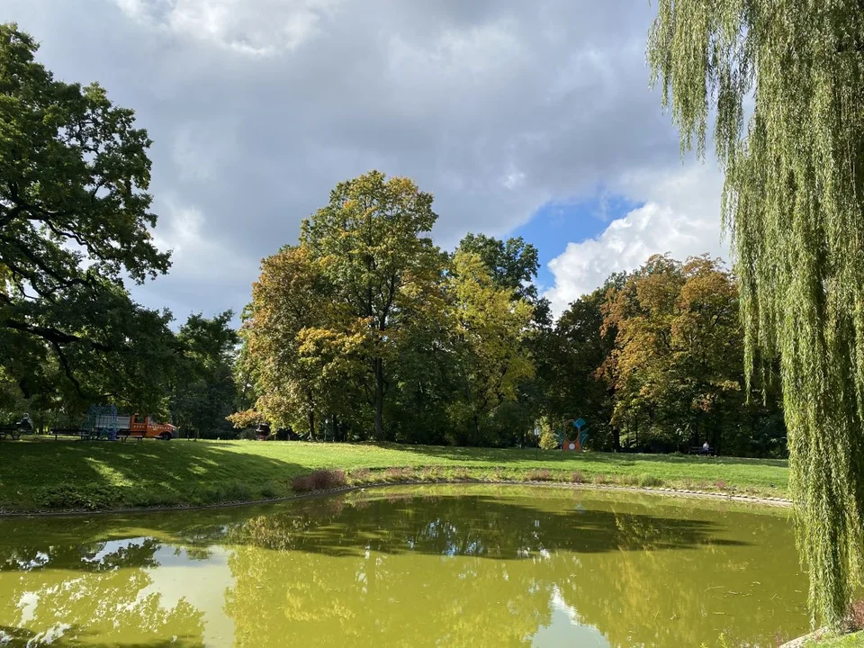 Park Źródliska jesienią