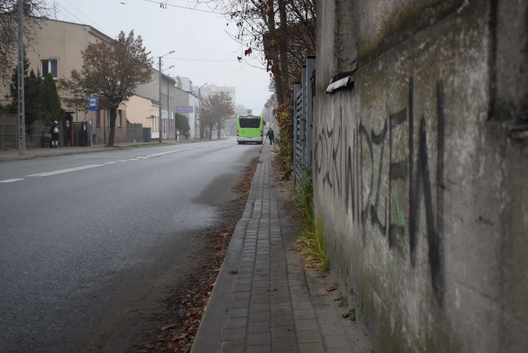 Pas na ulicy Solnej i Cezaka