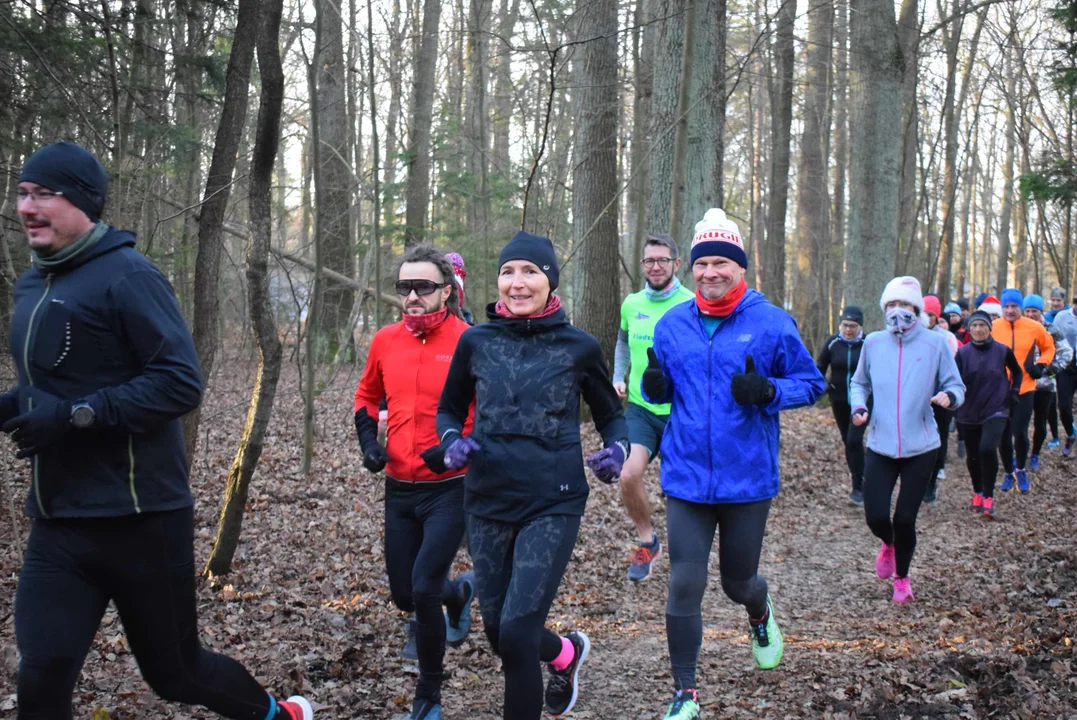 Parkrun w Lesie Łagiewnickim