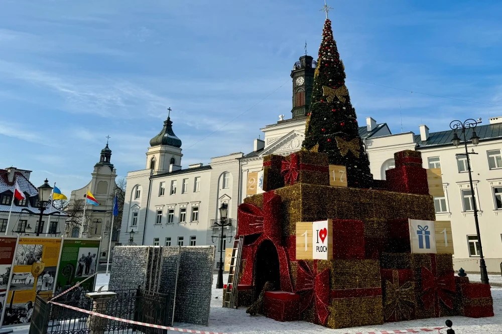 Miasto "stroi się" na święta. Przed ratuszem rośnie wielka choinka [ZDJĘCIA] - Zdjęcie główne